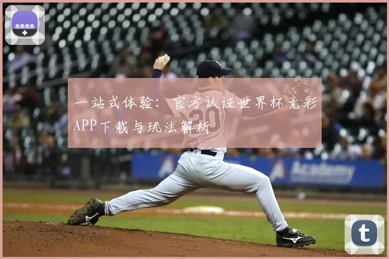 一站式体验：官方认证世界杯竞彩APP下载与玩法解析