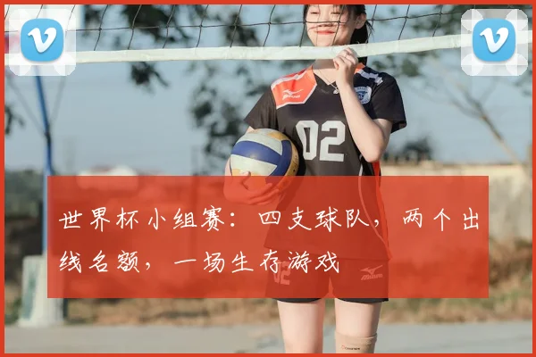 世界杯小组赛:四支球队,两个出线名额,一场生存游戏