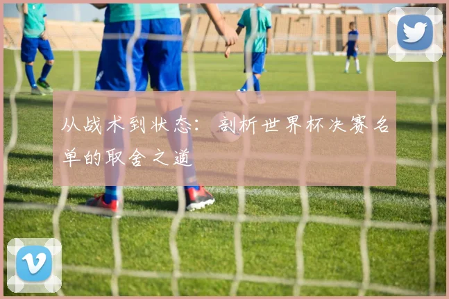 从战术到状态：剖析世界杯决赛名单的取舍之道