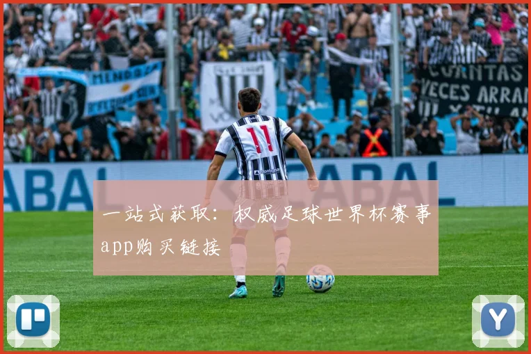 一站式获取：权威足球世界杯赛事app购买链接