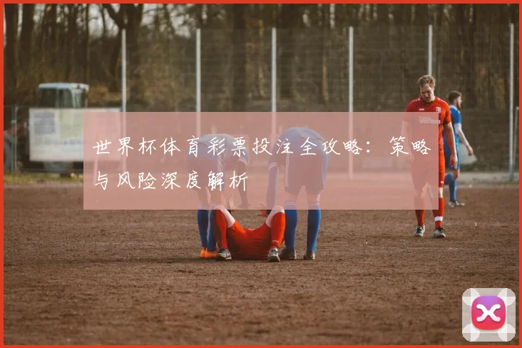 世界杯体育彩票投注全攻略：策略与风险深度解析