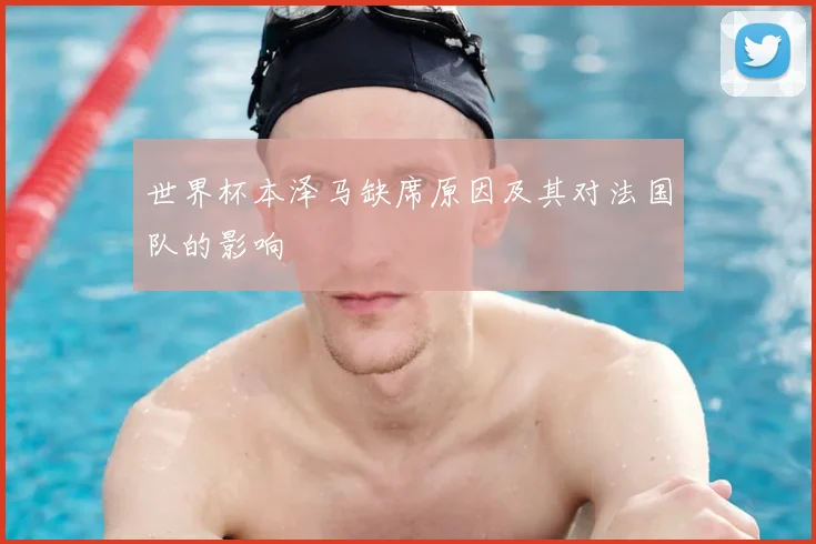 世界杯本泽马缺席原因及其对法国队的影响