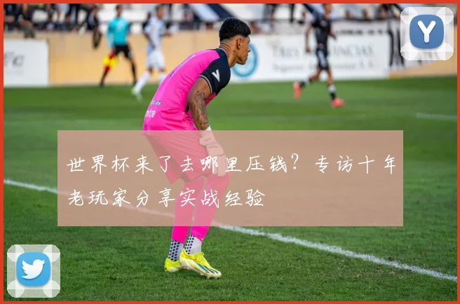 世界杯来了去哪里压钱?专访十年老玩家分享实战经验